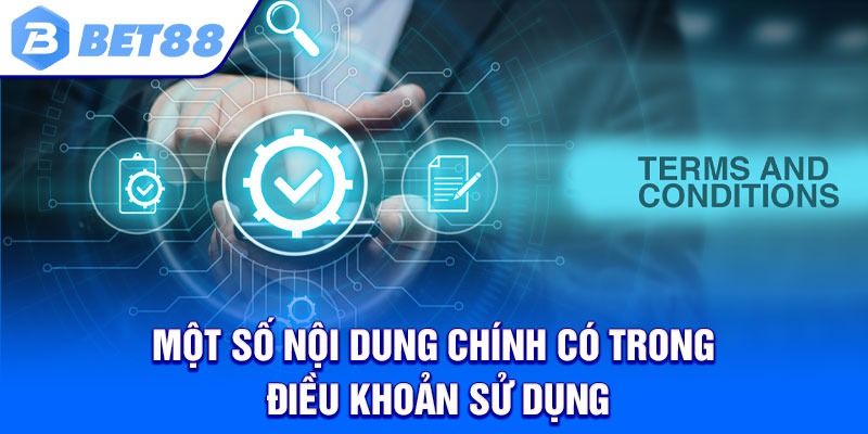 Một Số Nội Dung Chính Có Trong Điều Khoản Sử Dụng