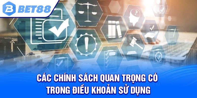 Các Chính Sách Quan Trọng Có Trong Điều Khoản Sử Dụng