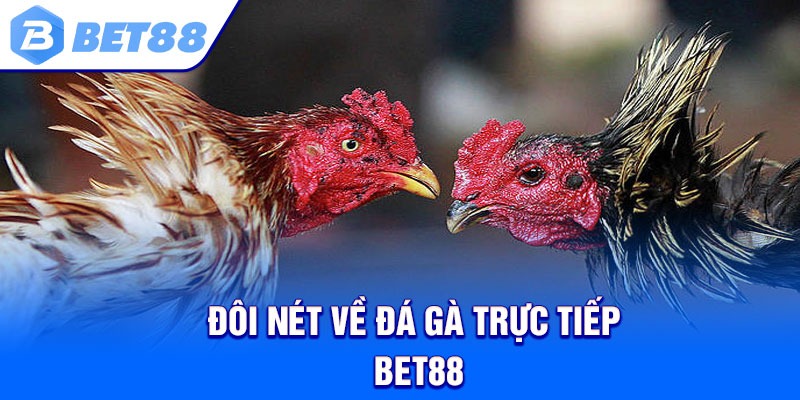 Đôi nét về đá gà trực tiếp Bet88