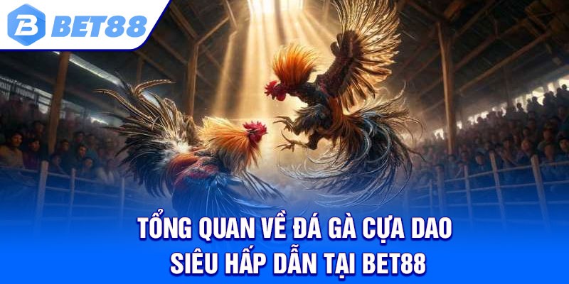 Tổng quan về đá gà cựa dao siêu hấp dẫn tại Bet88